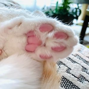 Meet your Posher, Hope